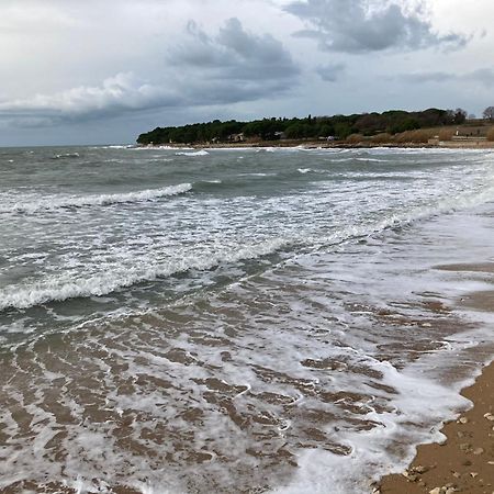 Apartamento App Sorgo Novigrad Istria Exterior foto
