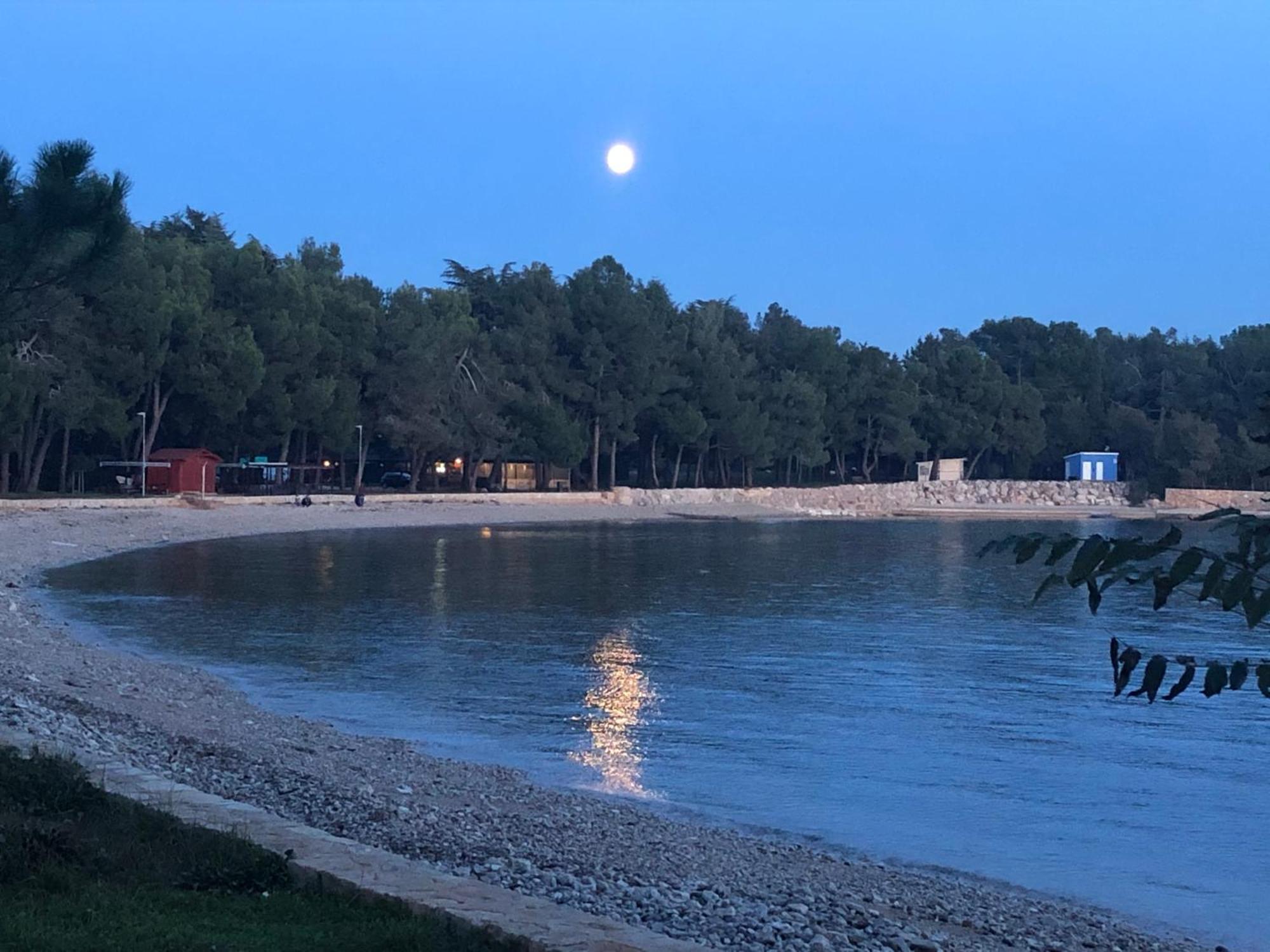 Apartamento App Sorgo Novigrad Istria Exterior foto