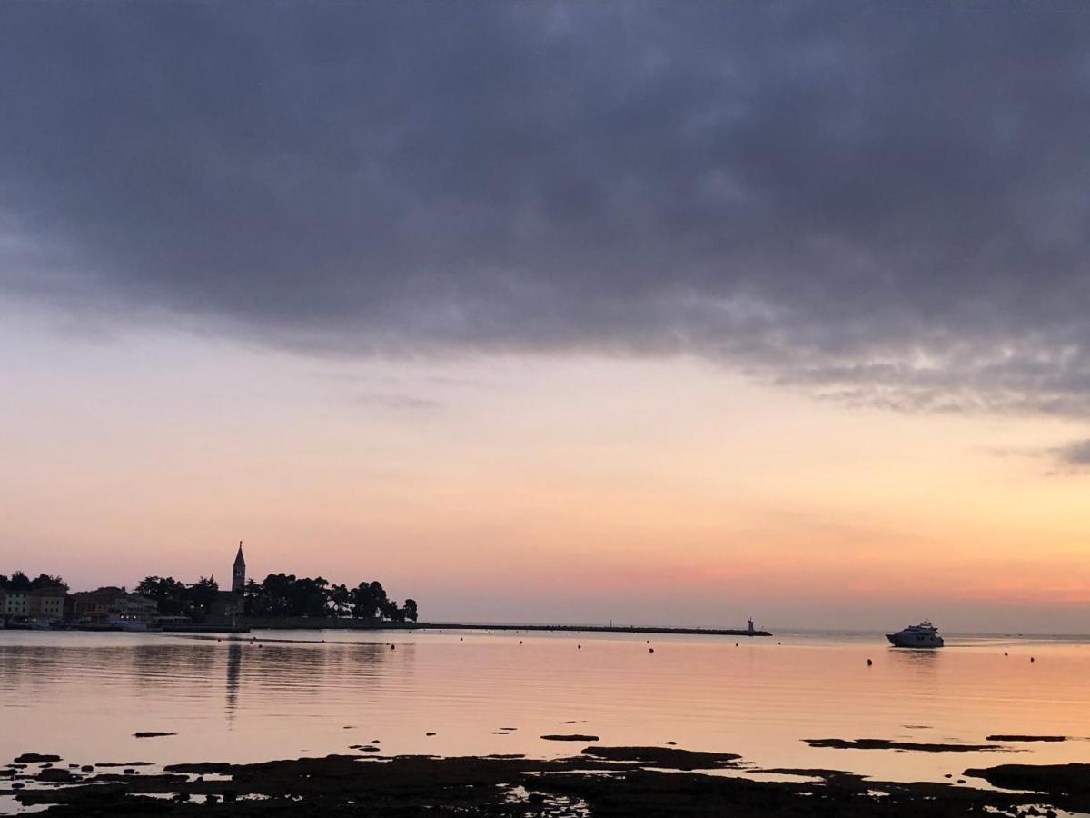 Apartamento App Sorgo Novigrad Istria Exterior foto