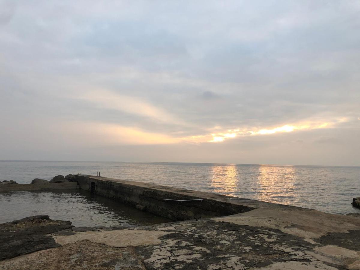 Apartamento App Sorgo Novigrad Istria Exterior foto
