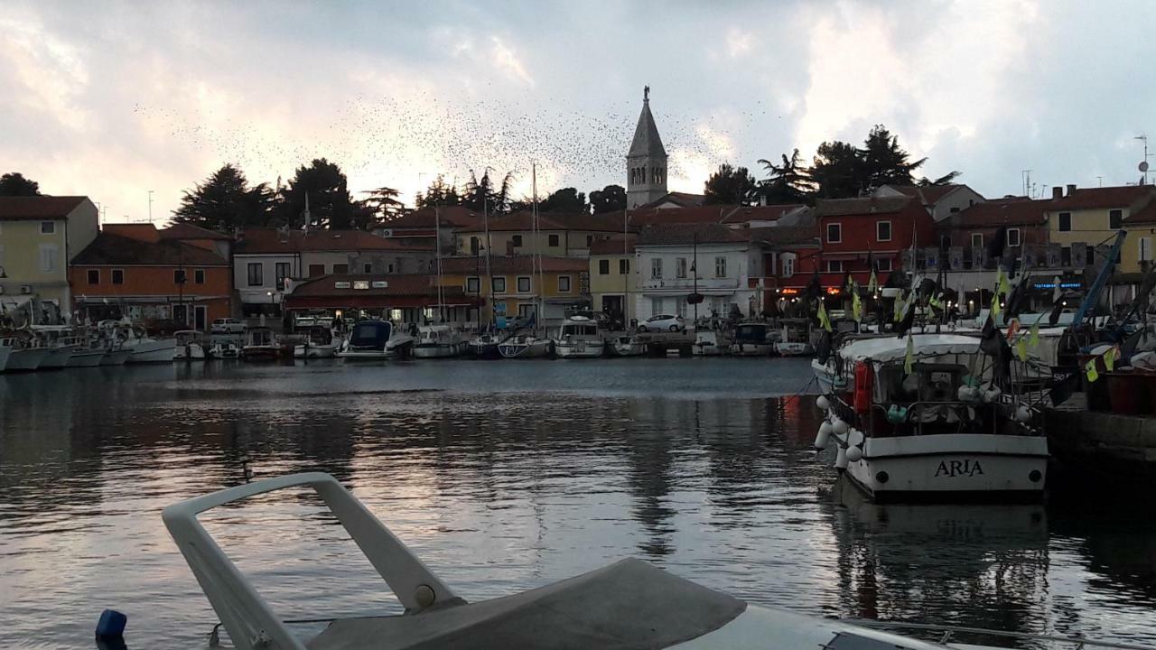 Apartamento App Sorgo Novigrad Istria Exterior foto