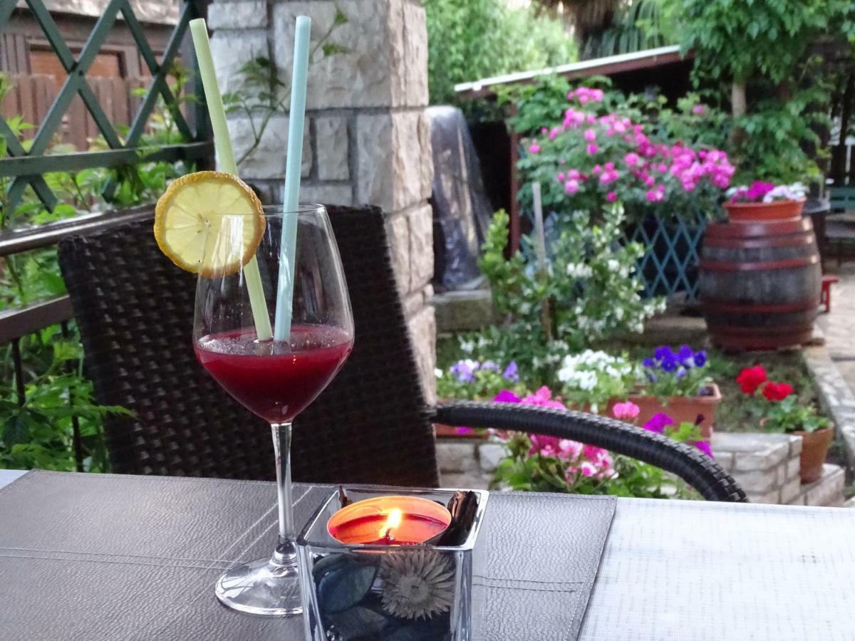 Apartamento App Sorgo Novigrad Istria Exterior foto
