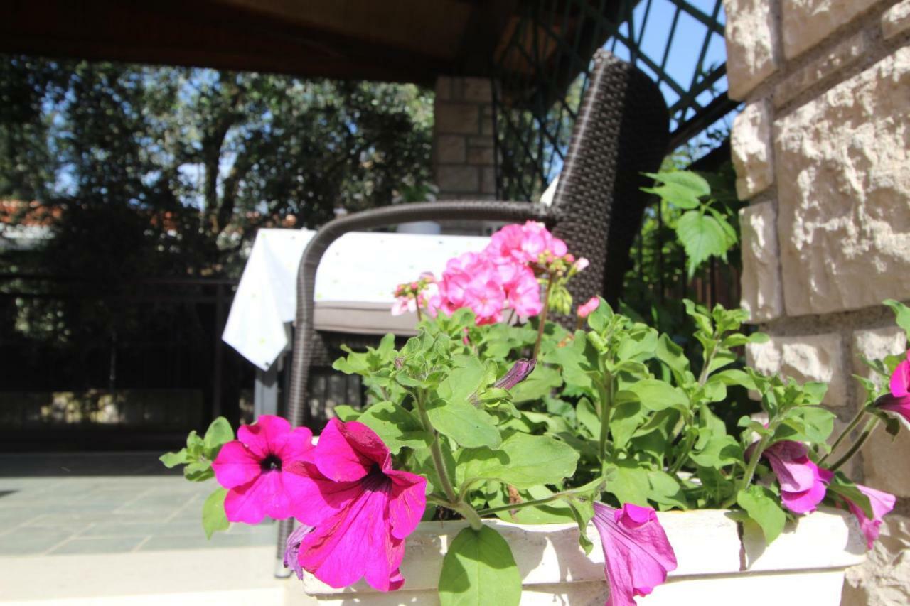 Apartamento App Sorgo Novigrad Istria Exterior foto