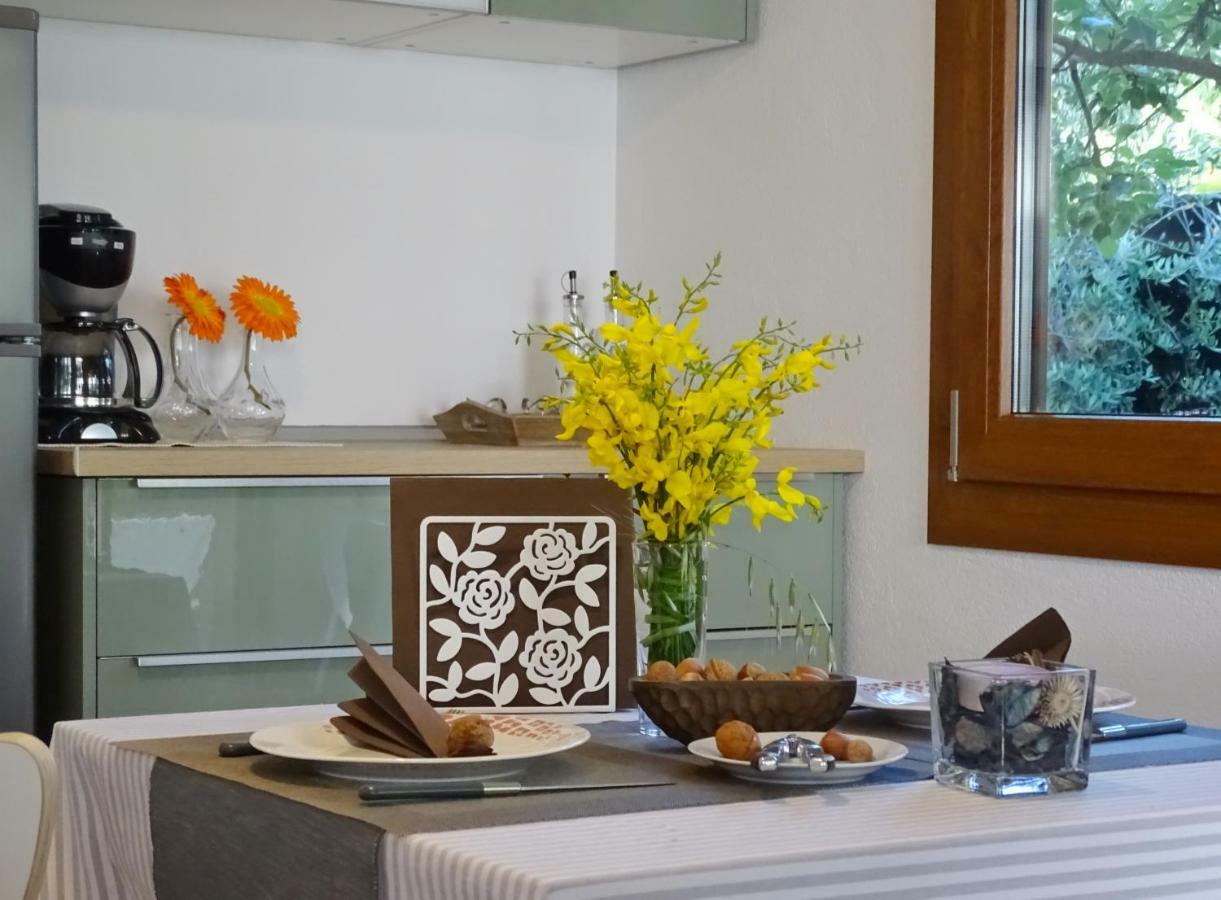 Apartamento App Sorgo Novigrad Istria Exterior foto